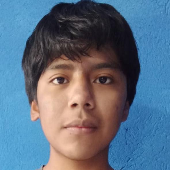 User Image