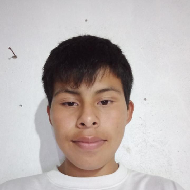 User Image