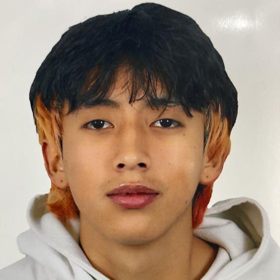 User Image